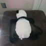 Panda backpack Image 4