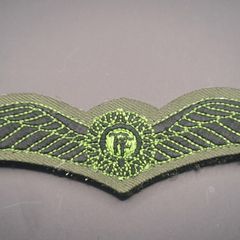Irish Air Corps pilot wings