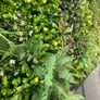 Artificial Wall Grass Image 3