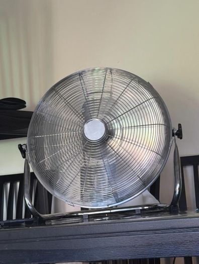 Fan