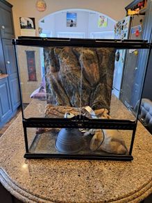 glass terrarium