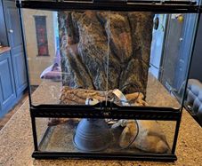 glass terrarium