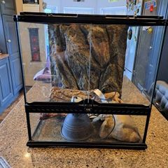 glass terrarium