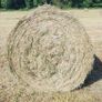 Hay Image 3