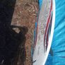 surfboards Tramore Image 4