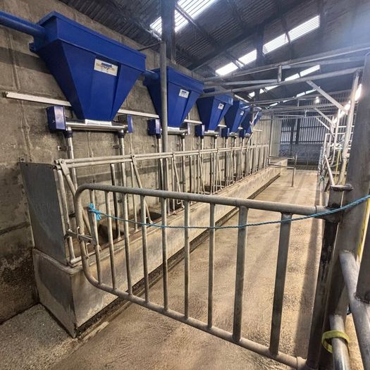 10 Unit Dairymaster Parlour