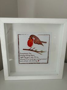 Framed Pictures x 2