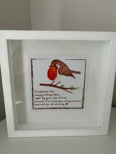 Framed Pictures x 2