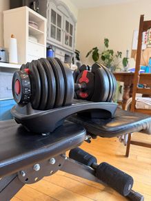 Adjustable dumbbells and bench