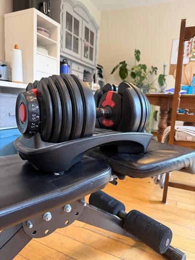 Adjustable dumbbells and bench