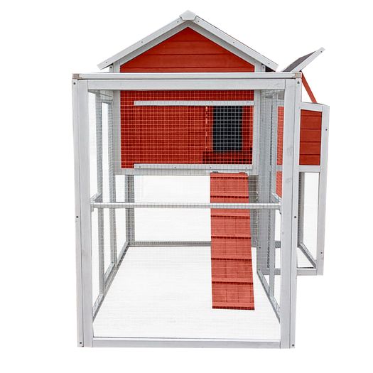 Cluckingham Palace 10 to 12 Birds Red - FREE DELIVERY