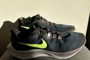 Nike air zoom Pegasus