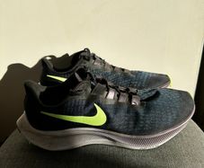 Nike air zoom Pegasus