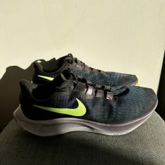 Nike air zoom Pegasus