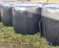 organic haylage