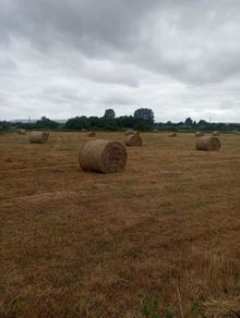 Hay bales