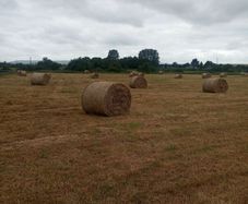 Hay bales