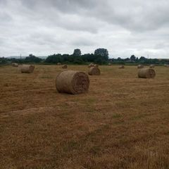 Hay bales