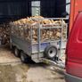 firewood Image 6