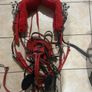 top mark harness Image 4