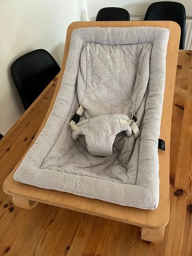 Charlie Crane LEVO Baby Rocker