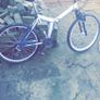 Mountain Bike Image 3