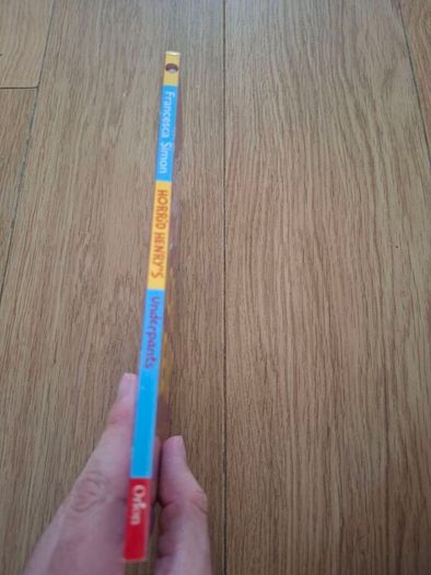 Horrid Henry's Underpants Book