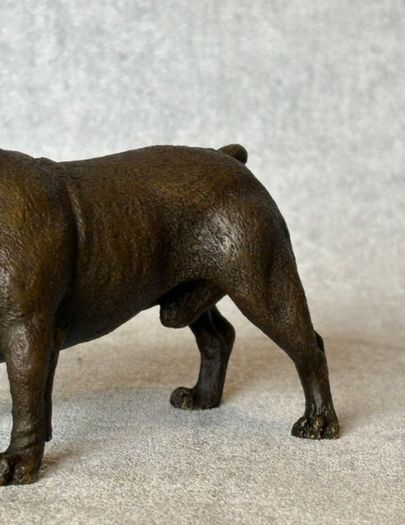 Bulldog - Cold Painted Bronze, Signed