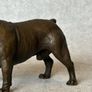 Bulldog - Cold Painted Bronze, Signed Image 3