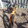 kids bike Image 2