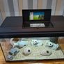 Fish tank for sale Image 2