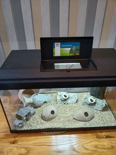 Fish tank for sale