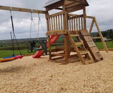 Wood chip