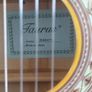 accustic guitar Image 2