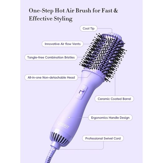 Landot Blowout Dryer brush