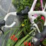 Castello Ladies Bike Image 9