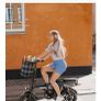 electric bike Image 2