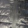 Canada goose hybridge Image 7