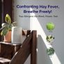Air Purifier for Bedroom Home, Quiet HEPA Filter Cleaner with Fragrance Sponge & 3 Speed for Better Sleep, Air Frenshener, Allergies, Dust, Pet Dander, Odour, Smoke, Office, Desktop, Core Mini Image 10