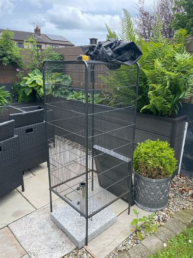 XL bird cage