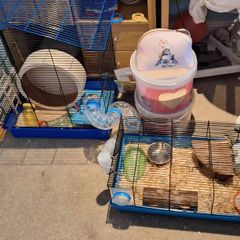 hamster cage