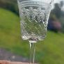 Rare Set of Six Antique Edwardian High Quality Hand-Blown, Hand-Etched and Hand-Cut Bohemian Glass Liqueur/Cordial Glasses, in the Original Pall Mall Lady Hamilton Pattern, Circa 1900 Image 7