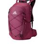 Gregory hiking 22l backpack & 2l hydration pack Image 4