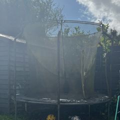 Trampoline Free to take away as is