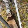 Trailer - Tipper Bog Trailer Image 6