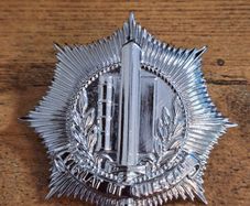 Vintage Dutch Police Badge for Dutch Municipal Police caps, obsolete - free standard postage