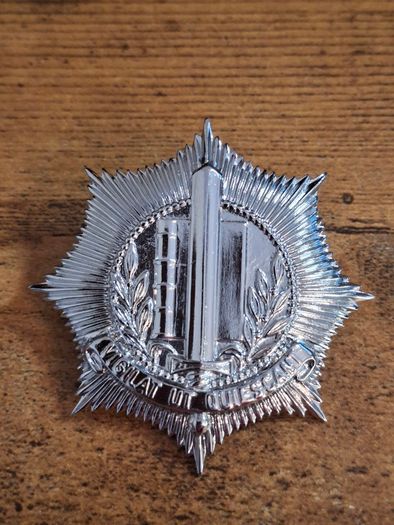 Vintage Dutch Police Badge for Dutch Municipal Police caps, obsolete - free standard postage