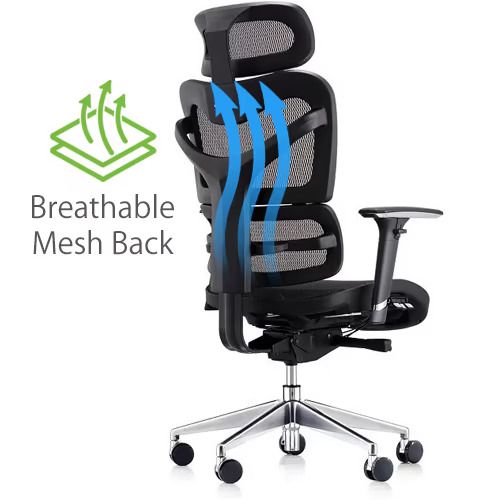 Dorsum Executive Ergonomic Mesh Office Chair (negotiable)
