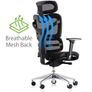 Dorsum Executive Ergonomic Mesh Office Chair (negotiable) Image 9