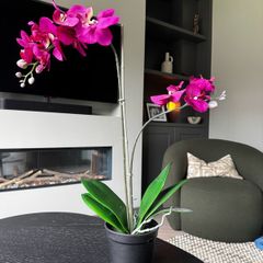 IKEA faux orchids